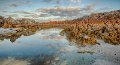 Eddystone Point-Rocks1